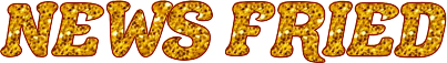 newsfried